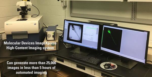 Molecular Devices ImageXpress† High-Content Imaging System