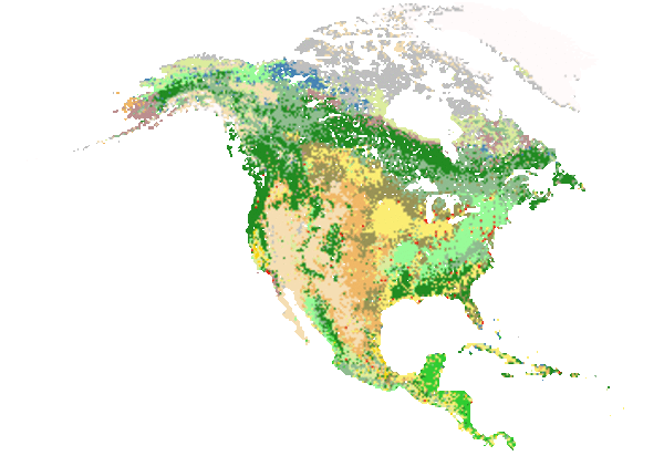 North America Land Cover Characteristics Data Base Version 2.0