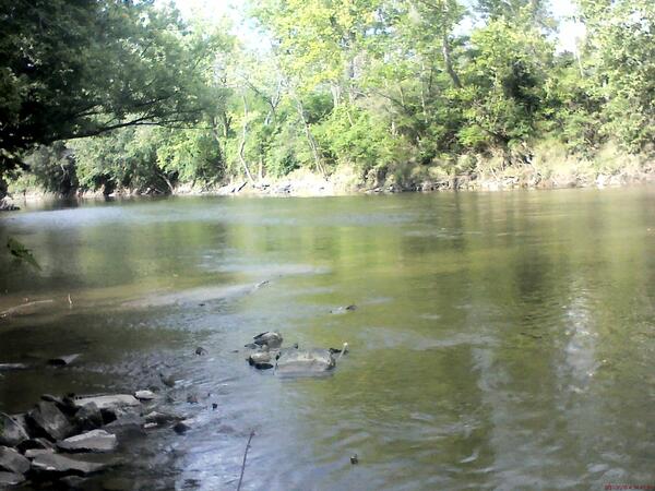 Cuyahoga River at Independence OH - downstream of gage