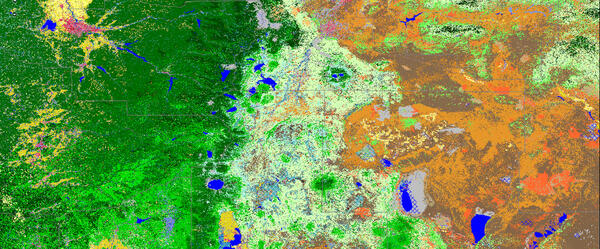 Satellite image of EVT data for the LANDFIRE viewer.