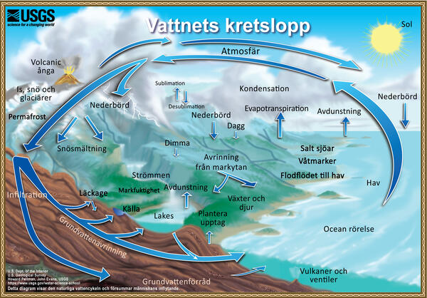 Vattnets Kretslopp - The Water Cycle, Swedish