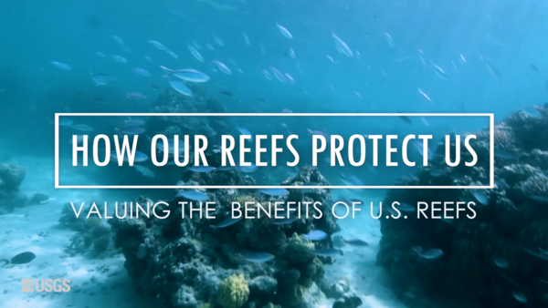 How Our Reefs Protect Us: Valuing the Benefits of U.S. Reefs (AD)