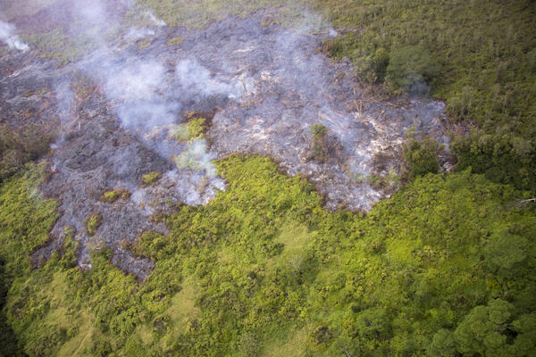 A closer view of the leading edge of the flow, which consisted of s...