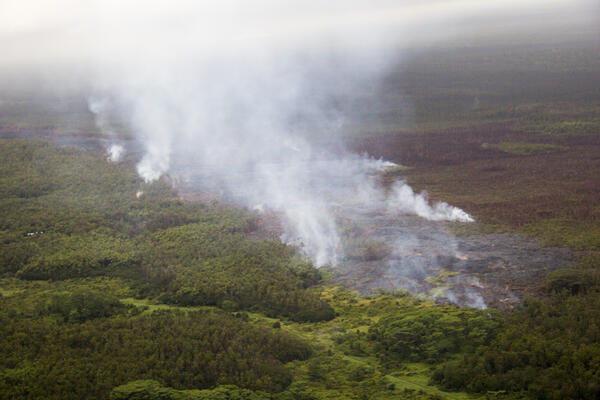 A closer look at the flow front, showing the leading edge moving th...