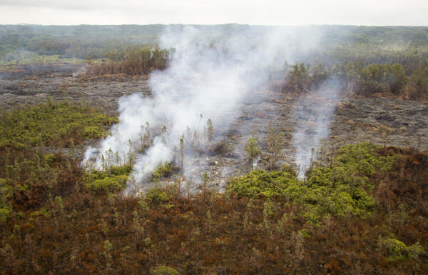 A close view of the north margin of the flow, just behind the flow ...