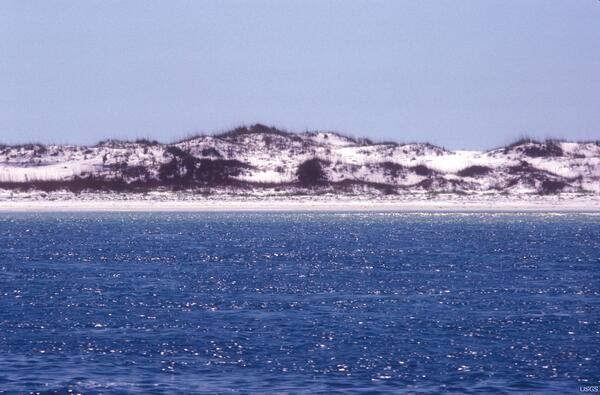 Image: Before the Spill