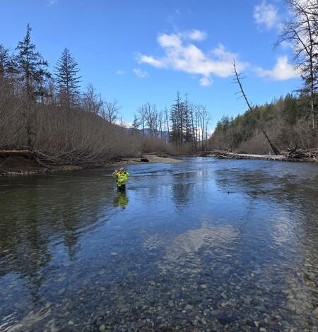 Technician stands waist-deep in cobble-bedded stream.