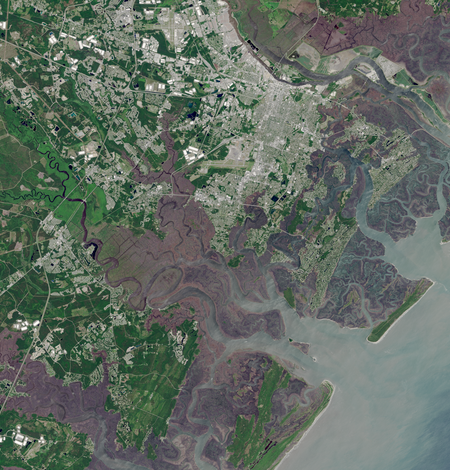 Landsat image of Savannah, Georgia in 2026