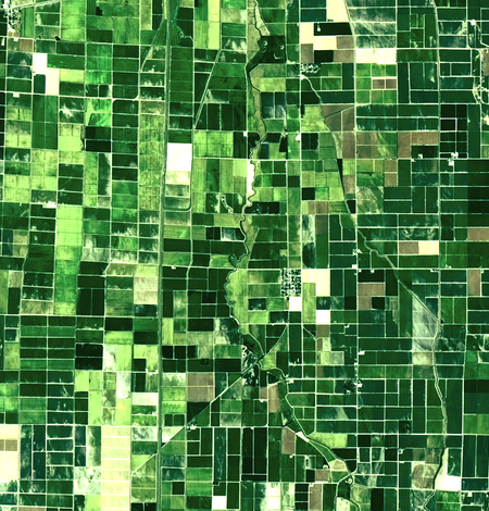 Landsat 9 image of cropland in southeastern Missouri