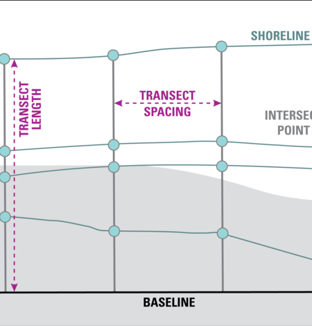 diagram showing transect lines on a shoreline