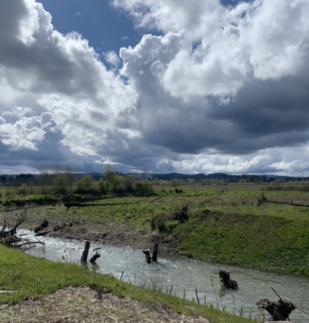 The glistening sunlit creek meanders through green vegetation on a mostly cloudy day.