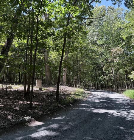 Gravel road passing a wooded cemetery with a few headstones.