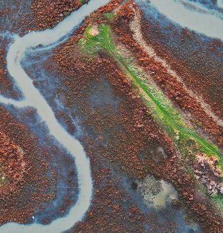 Aerial image of Corte Madera tidal marsh