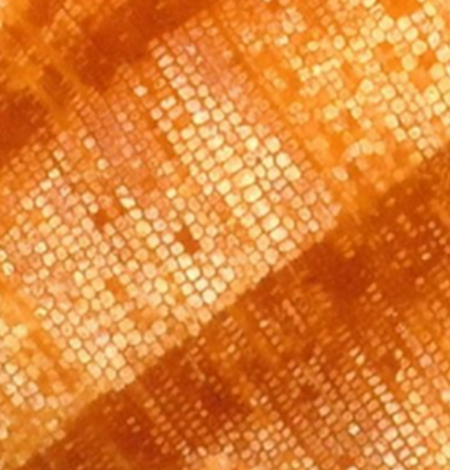 Microscopic view of tree rings, with a scale bar of 0.5 mm