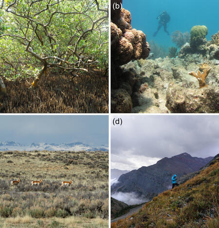 Photos of coastal wetland, coral reef, dryland, and alpine ecosystems