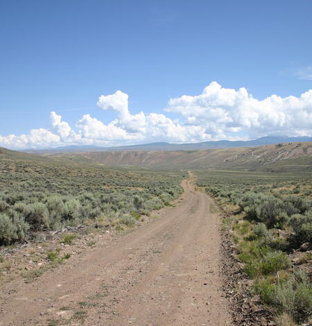 photo of dirt road cutting through sagebrush habitat, blue partly cloudy skies above