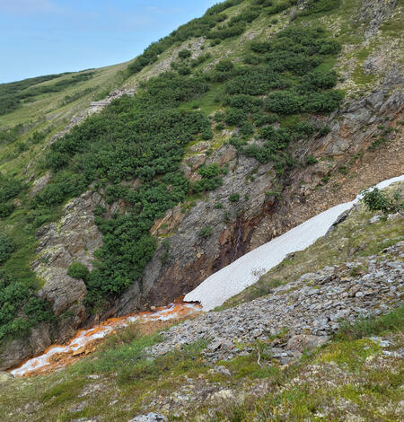Snow field on side of mountain next to stream with orange rocks.  Vegetation is on both sides of Graphite Creek.