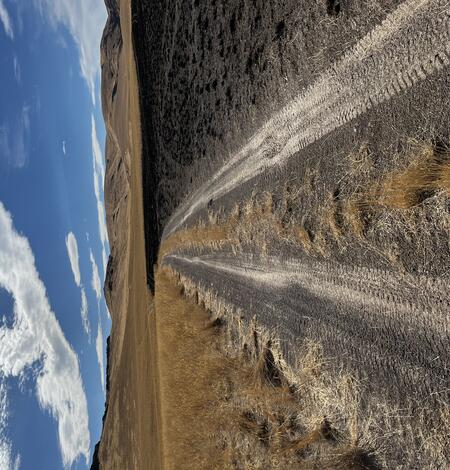 a dirt road, to the left of the road is a field of brown grass, to the right is black scorched soil