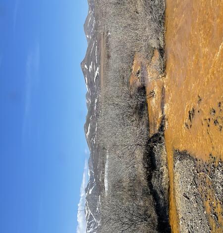 Close up of orange water in Kugororuk River, Alaksa. Shrubs and mountains with blue sky.