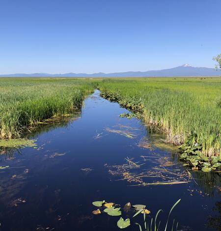 Looking down a narrow blue strip of river going through dense marsh vegetation. Blue sky day.