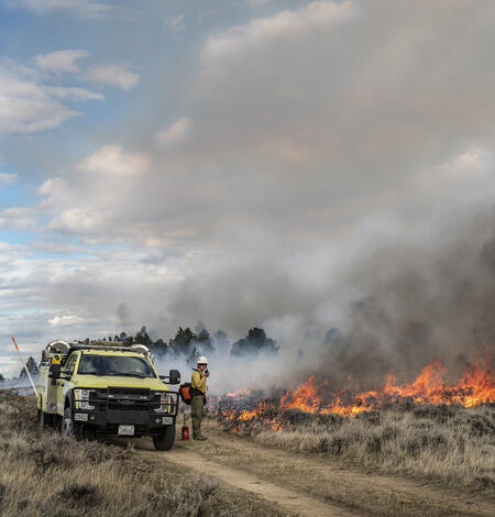 a man in fire uniform stands next to a yellow truck, around him, sagebrush habitat and grasses burn, smoke fills the air