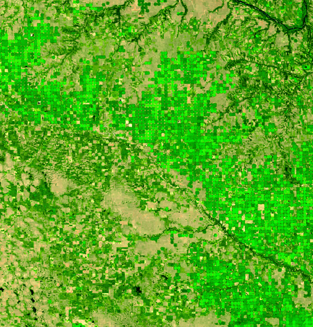 A Landsat 9 image of irrigated cropland in northeast Nebraska during the 2024 growing season