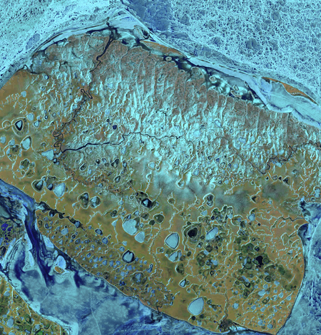 Landsat 8 Image of Ayon Island