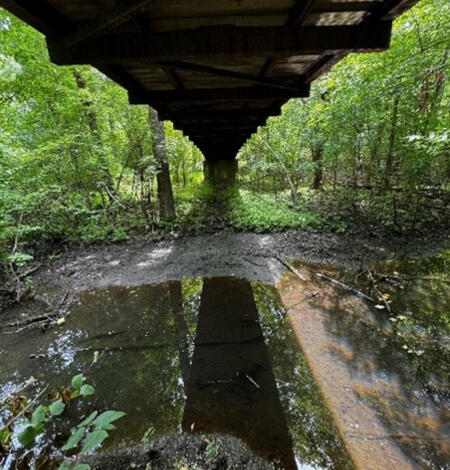 Looking at a small stream flowing over a riffle under a bridge