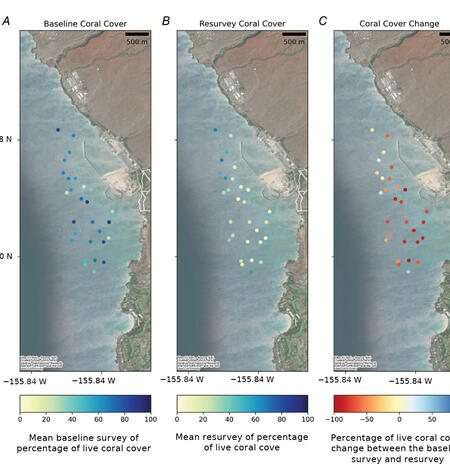 Maps of spatial patterns of live coral cover and change by site at Puʻukoholā Heiau National Historic Site