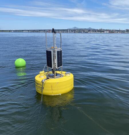 A yellow buoy holding water quality equipment floating in a bay.
