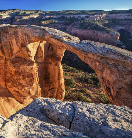 red rock arches over a canyon, with shrubs covering nearby rocks and blue sky above