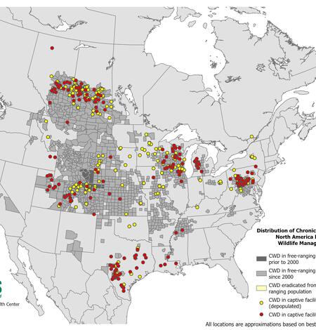 Distribution of Chronic Wasting Disease in North America_2026