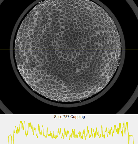 CT scan of Orbicella coral sample with no packing material
