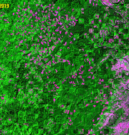 Animation of logging in Oregon