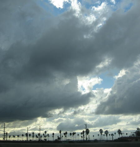 Rain clouds over palm trees in Los Angeles