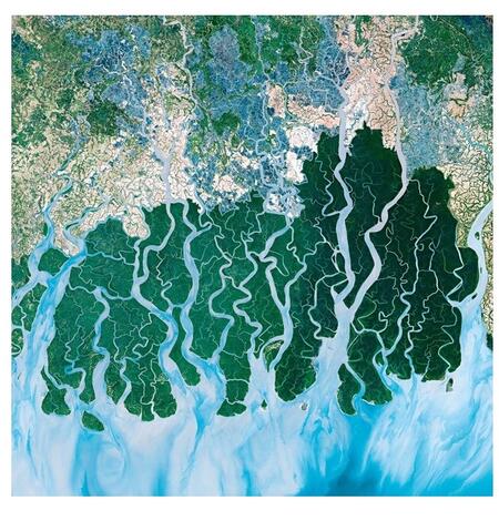 River Silica working group photo