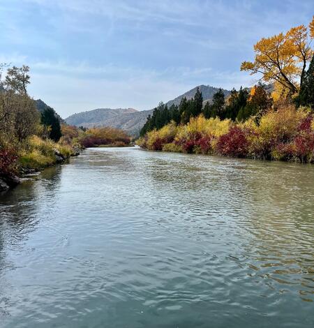 River channel with vegetation on the each bank