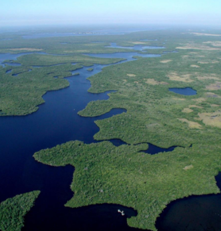 Aerial view of Everglades National Park