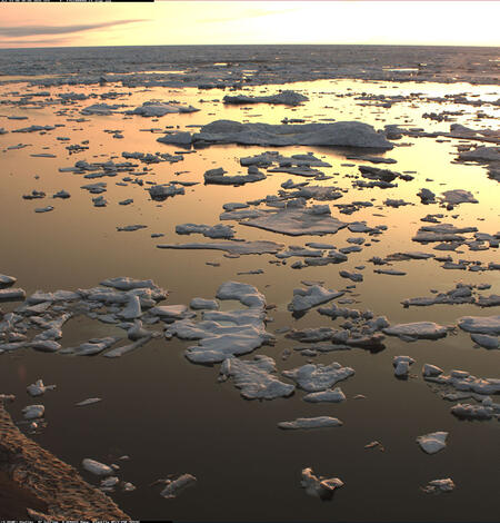 Sea ice at Nuvuk, Alaska on July 13 2025