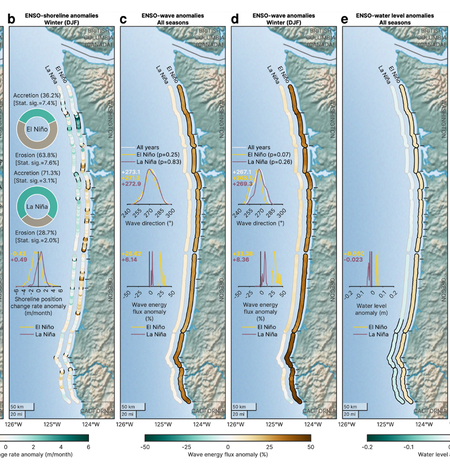 Chart showing seasonal teleconnections between ENSO and shoreline positions, waves, and water levels throughout the PNW