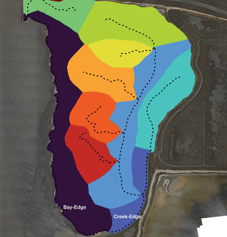 Figure showing surface of the Whales Tail Marsh colored to segment