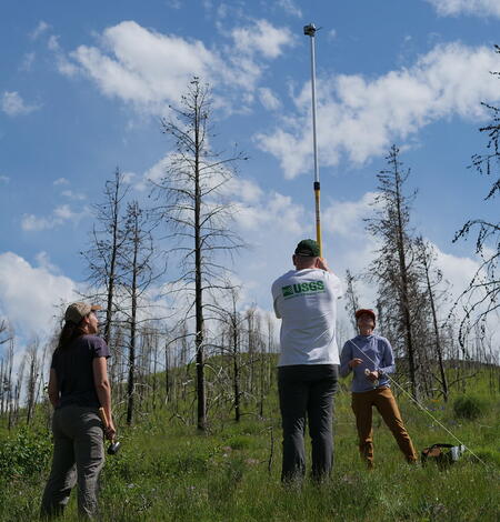 three people stand in a green field, dead trees in background, setting up a tall pole