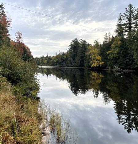 View of a river on an overcast autumn day