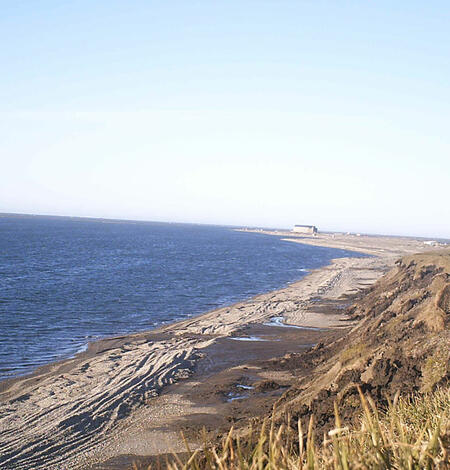 View looks along an ice-rich permafrost bluff that is eroding muddy chunks of tundra onto a sandy beach.