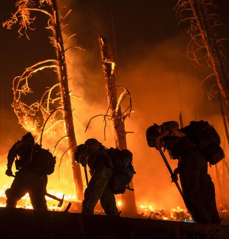 four firefighters walk in a line at night, burned trees and flames in the background