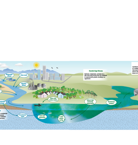 Nutrient inputs for HABs and algal toxins