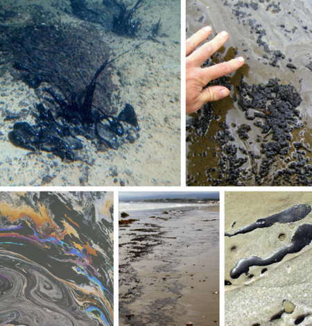 Collage of images showing natural offshore oil seepage on the California Coastline