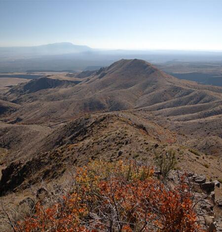 burned forest across mountains with clear skies above