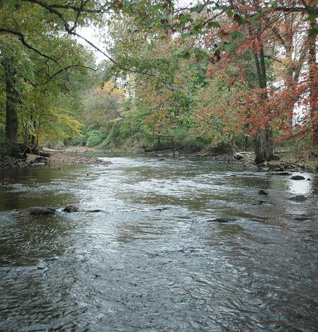 French Creek near Phoenixville, PA, river in the foreground and trees with green, yellow, and red leaves in the background. 