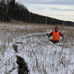 A USGS geologist stands in a crack in tide flat sediment, Alaska
